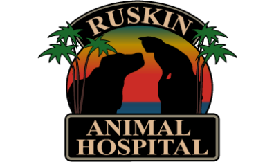 Ruskin Animal Hospital-HeaderLogo